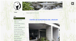 Desktop Screenshot of cquiropraxia.com